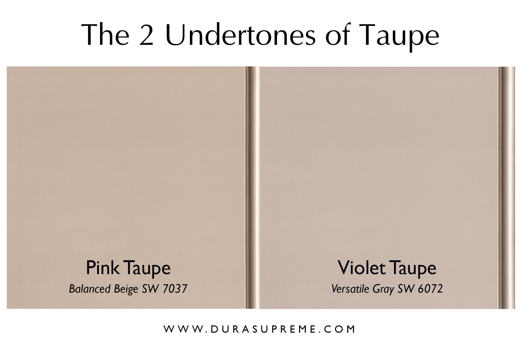 What Everyone Should Know About the Neutral Undertone Taupe